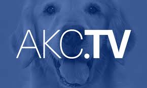 American Kennel Club TV_ USA